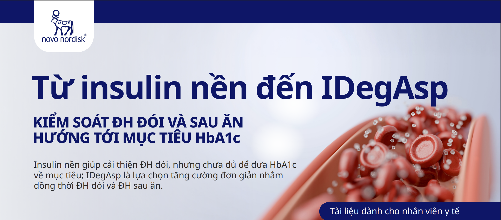 Từ insulin nền đến IDegAsp
KIỂM SOÁT ĐH ĐÓI VÀ SAU ĂN HƯỚNG TỚI MỤC TIÊU HbA1c