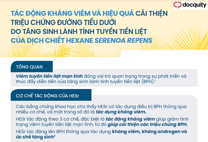 Tác động kháng viêm và hiệu quả cải thiện triệu chứng đường tiểu dưới do tăng sinh lành tính tuyến tiền liệt của dịch chiết Hexane serenoa repens