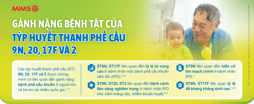 Gánh nặng bệnh tật của týp huyết thanh phế cầu 9N, 20, 17F và 2