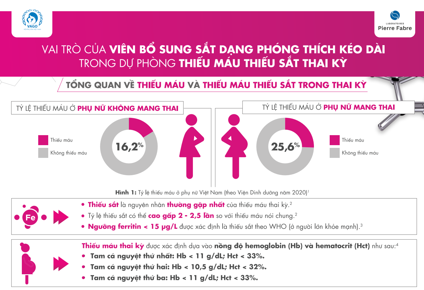 Vai trò của viên bổ sung sắt dạng phóng thích kéo dài trong dự phòng thiếu máu, thiếu sắt thai kỳ