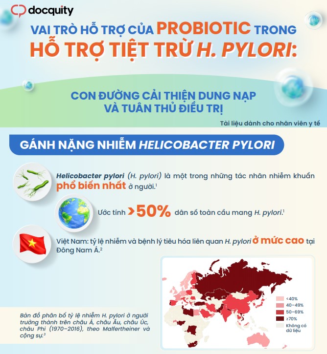 Vai trò hỗ trợ của Probiotic trong hỗ trợ tiệt trừ H.pylori: Con đường cải thiện dung nạp và tuân thủ điều trị