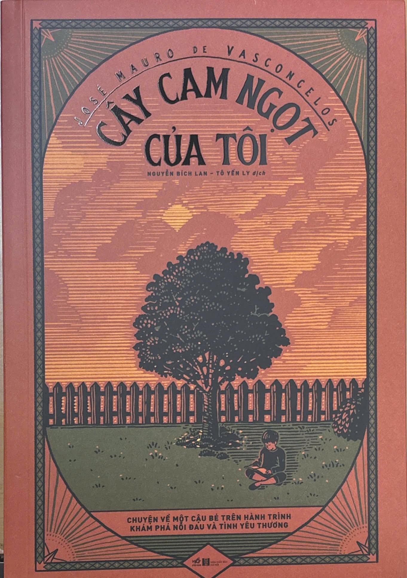 /cay-cam-ngot-cua-toi-🌳🍊-n44.html